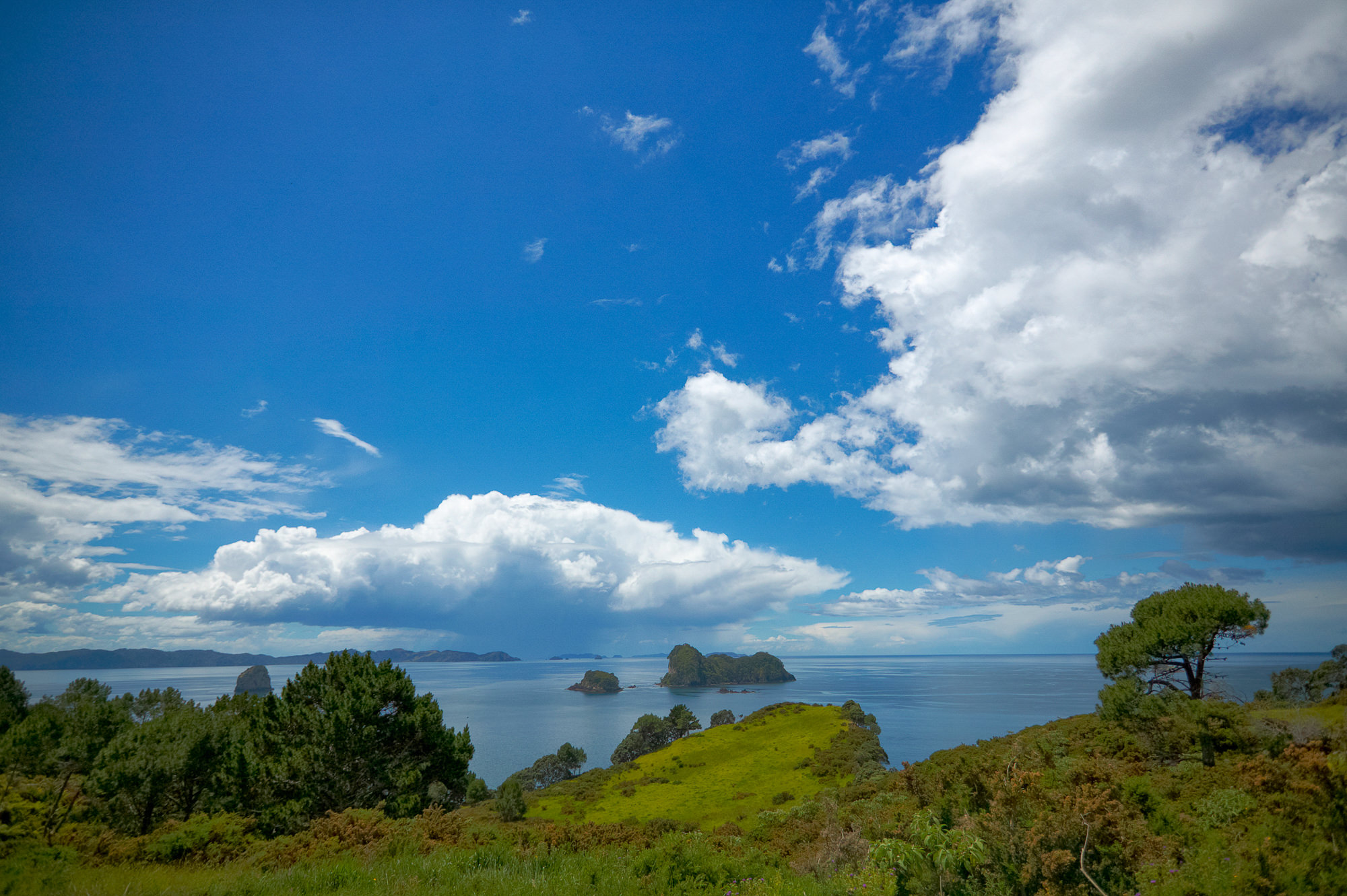 Coromandel Halbinsel